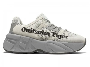 Men's Onitsuka Tiger P-trainer Sneakers Grey | 6847-GITUZ