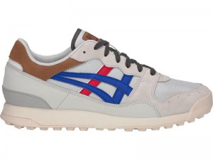 Men's Onitsuka Tiger Tiger Horizonia Sneakers White | 8621-IOKPC