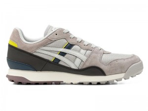 Women's Onitsuka Tiger Tiger Horizonia Sneakers Grey | 8394-KETIV