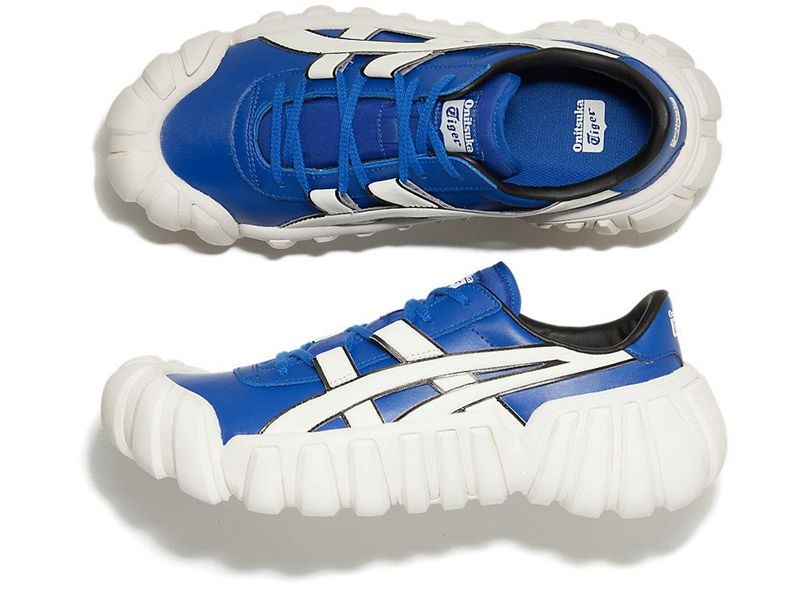 Men's Onitsuka Tiger Dentigre Tai-chi Sneakers Blue | 2516-UOIAR