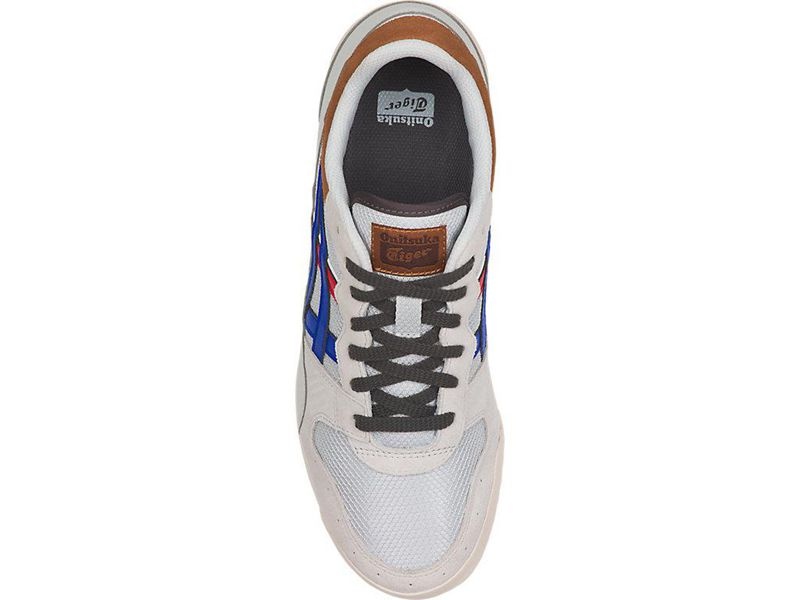 Men's Onitsuka Tiger Tiger Horizonia Sneakers White | 8621-IOKPC